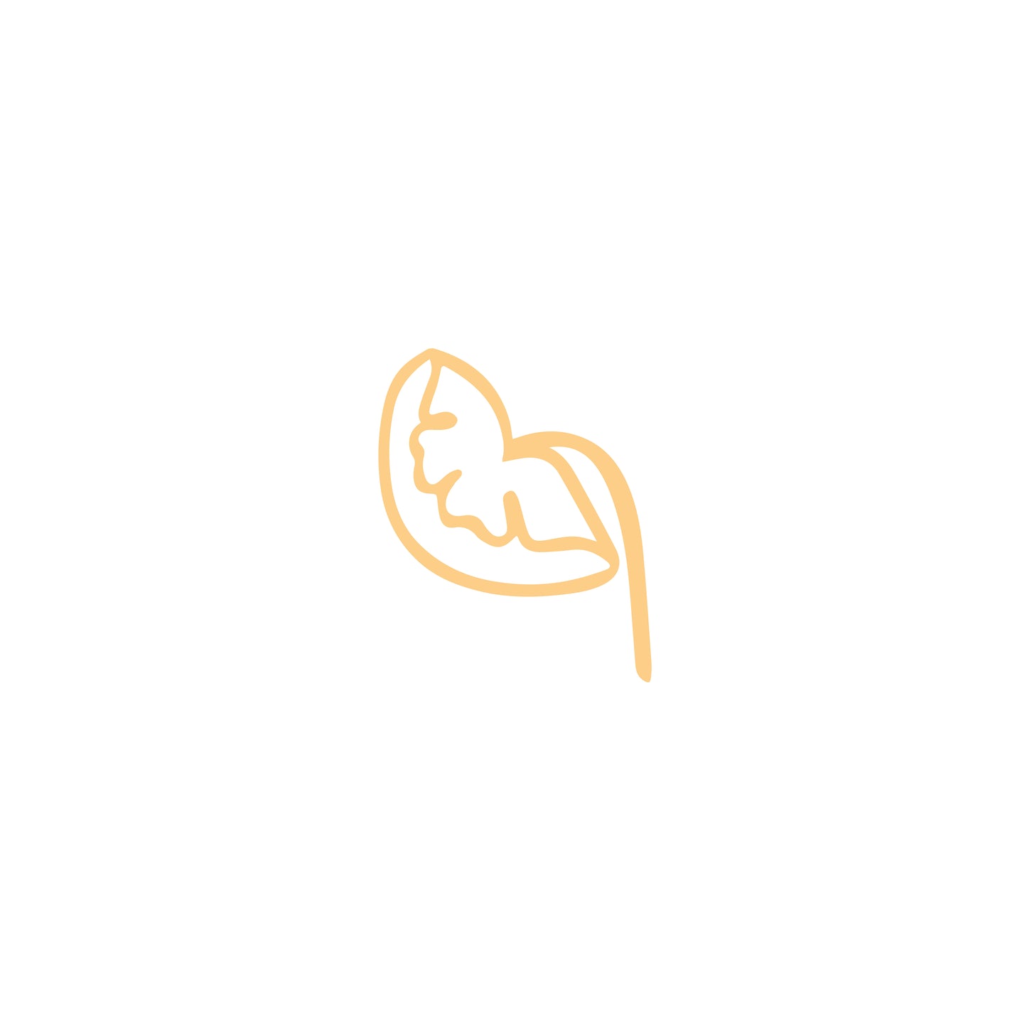 Acrylic Leaf Cutout -F (ACAR54)