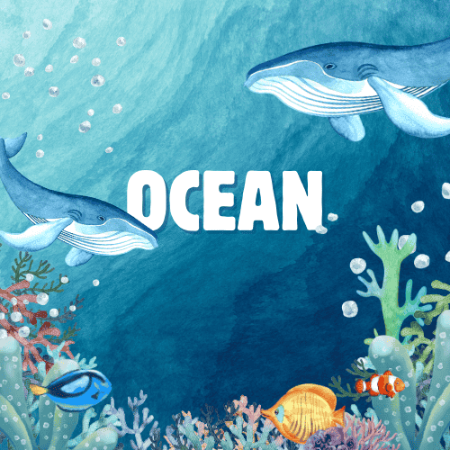 Ocean