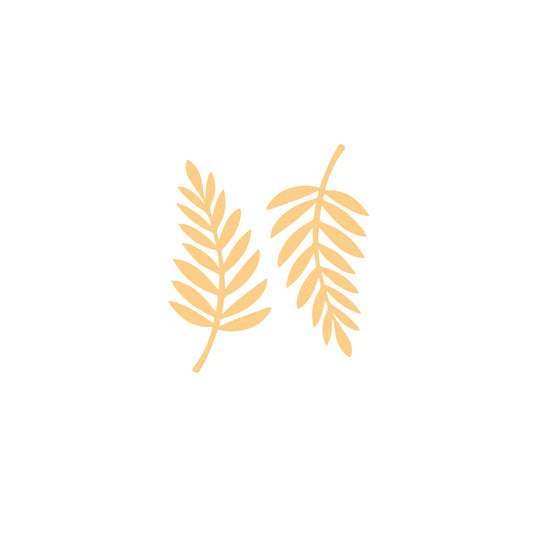 Acrylic Leaf Cutout (Set of 2) (ACAR43)