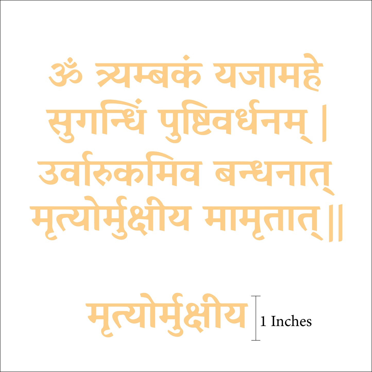 Shiv Mantra Anjoy Company