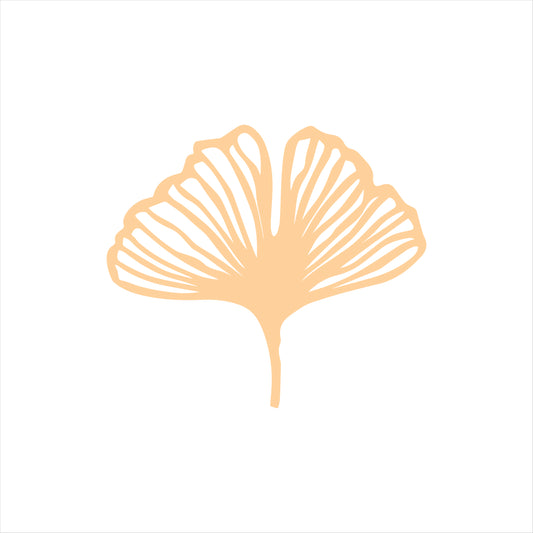 Ginkgo Leaf's Acrylic Cutout - Set of 2  (ACAR32)